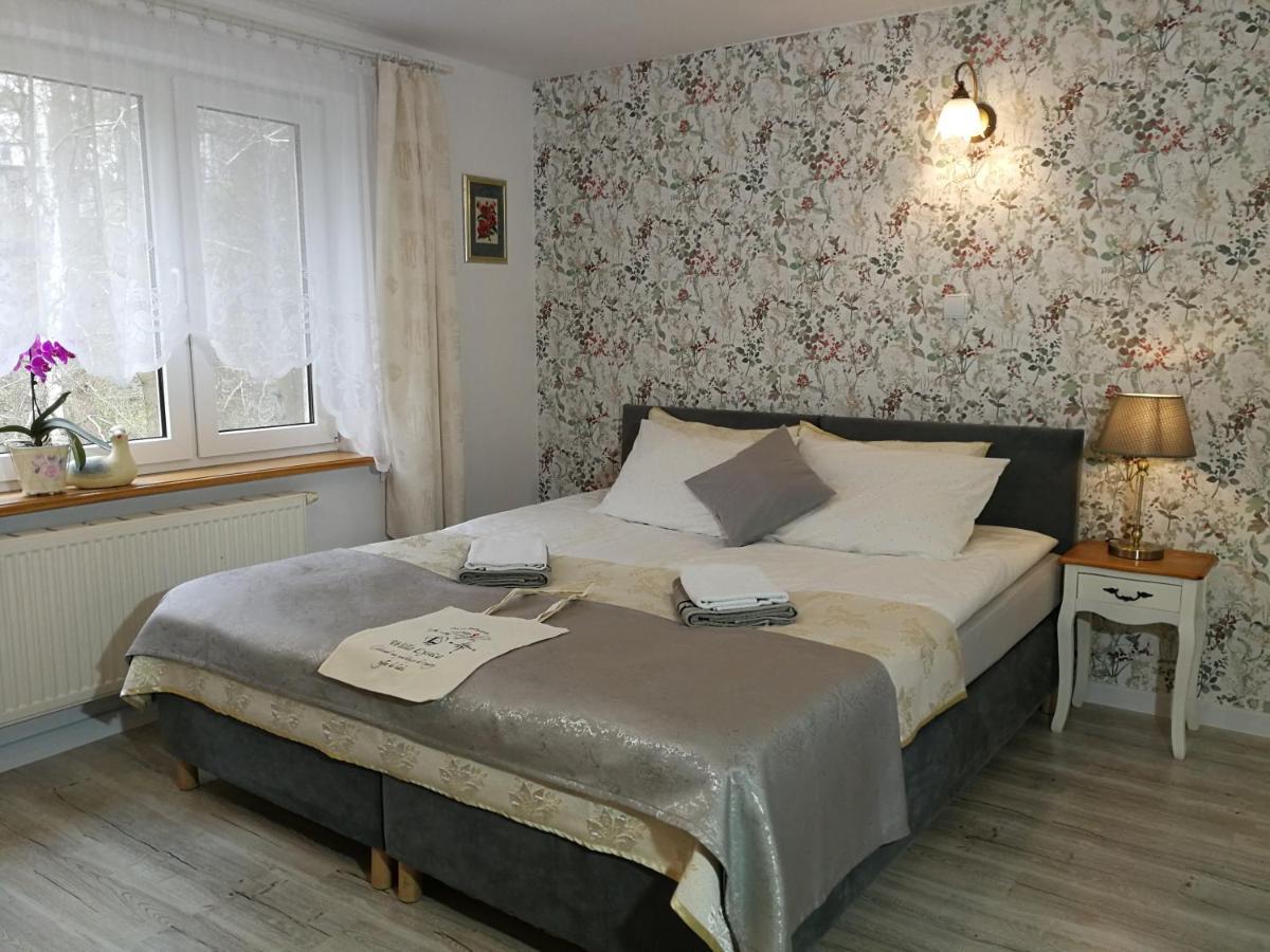 Willa Lysica Krynica Morska Extérieur photo
